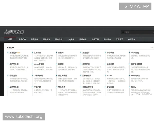 PA真人官方入口网址可靠，保障玩家权益安全无忧