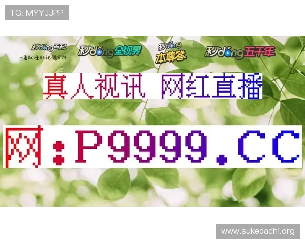 BG真人旗舰游戏厅如何保障玩家安全与隐私,打造最值得信赖的线上真人游戏平台 BG真人旗舰游戏厅如何保障玩家安全与隐私,打造最值得信赖的线上真人游戏平台